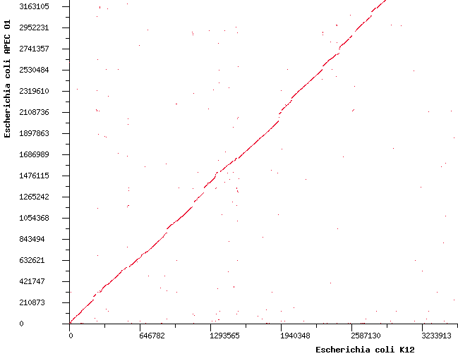 BLASTDotPlot2.png