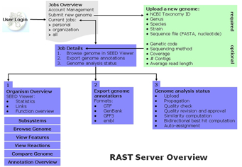 Rast fig1.jpg