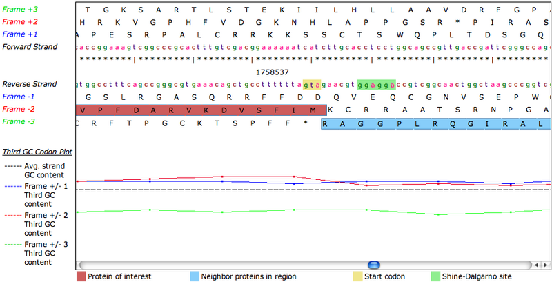 File:ContigView2.png